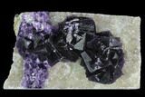 Dark Purple Cubic Fluorite on Quartz - China #125319-1